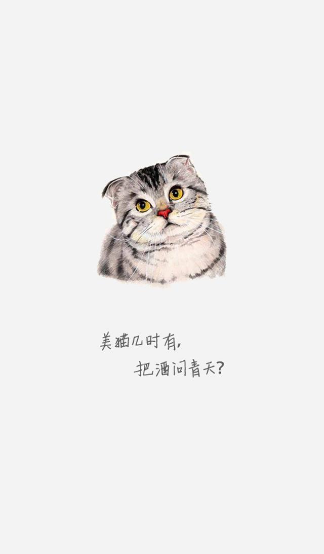 「美图 壁纸」你要的卡通猫咪壁纸