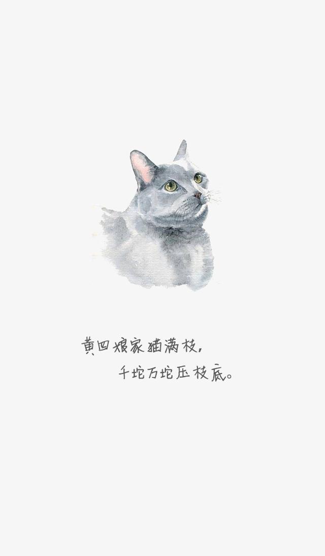 「美图 壁纸」你要的卡通猫咪壁纸