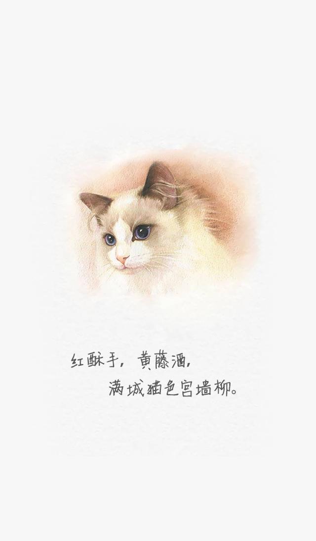 「美图 壁纸」你要的卡通猫咪壁纸