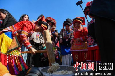 ​贵州毕节百里杜鹃：载歌载舞欢庆彝族年