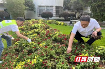 ​花开半夏时光好 开福园林护绿忙