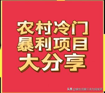 ​农村冷门项目大分享，想赚钱的过来看，建议收藏！