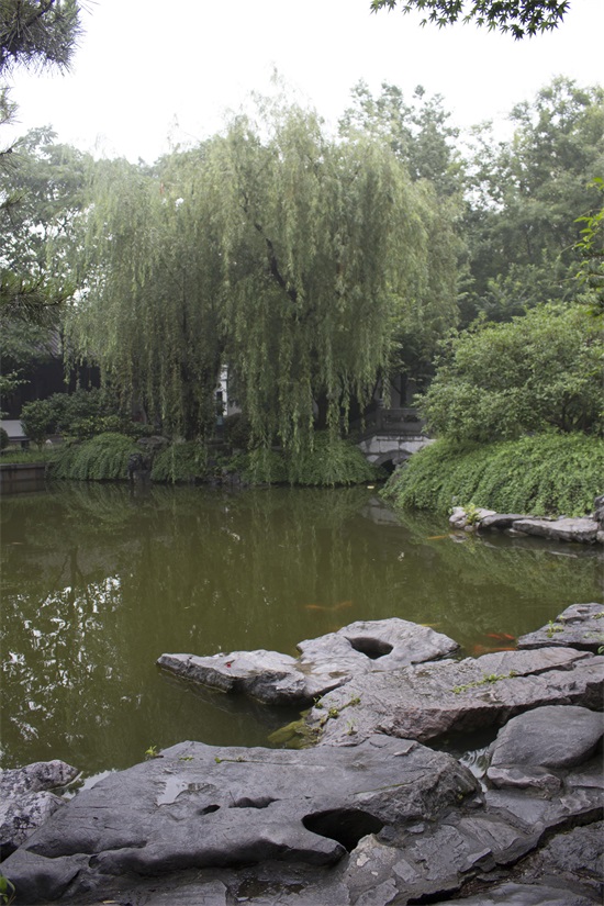 南京总统府图集（上）——前院