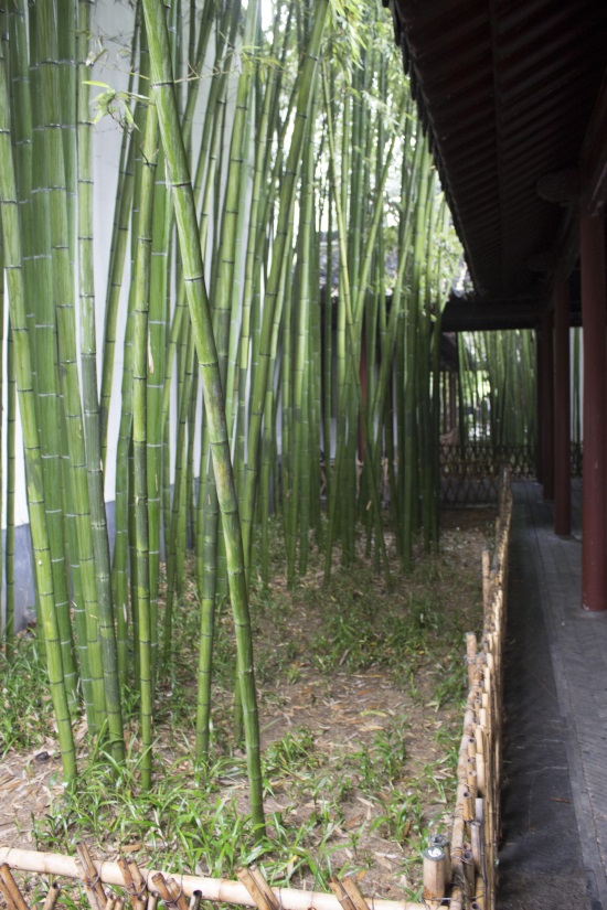 南京总统府图集（上）——前院