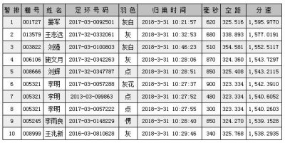 ​唐山阳光第一关归巢率超八成 九千羽冠军验鸽