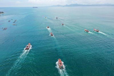 ​深圳大鹏湾：打造美丽海湾典范｜大美广东 生态之美