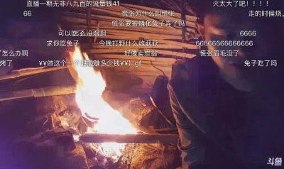 ​斗鱼萝卜和慌张直播野外生存 获网友一致称赞