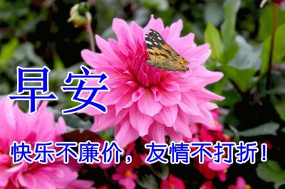 ​天冷了注意保暖的早晨问候图片带字祝福语 冬天早上好问候动画图片